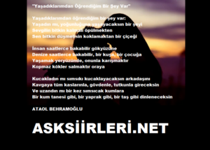 Ataol Behramoğlu | Yaşadıklarımdan Öğrendiğim Bir Şey Var | 2024