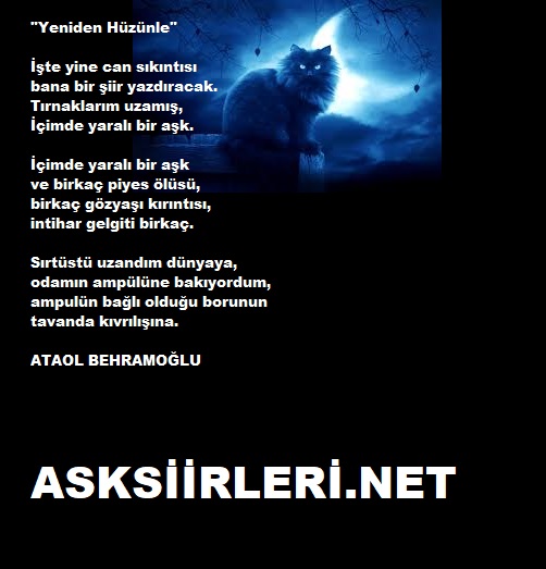 Ataol Behramoğlu Yeniden Hüzünle 2024