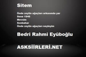 Bedri Rahmi Eyüboğlu | Sitem | 2024