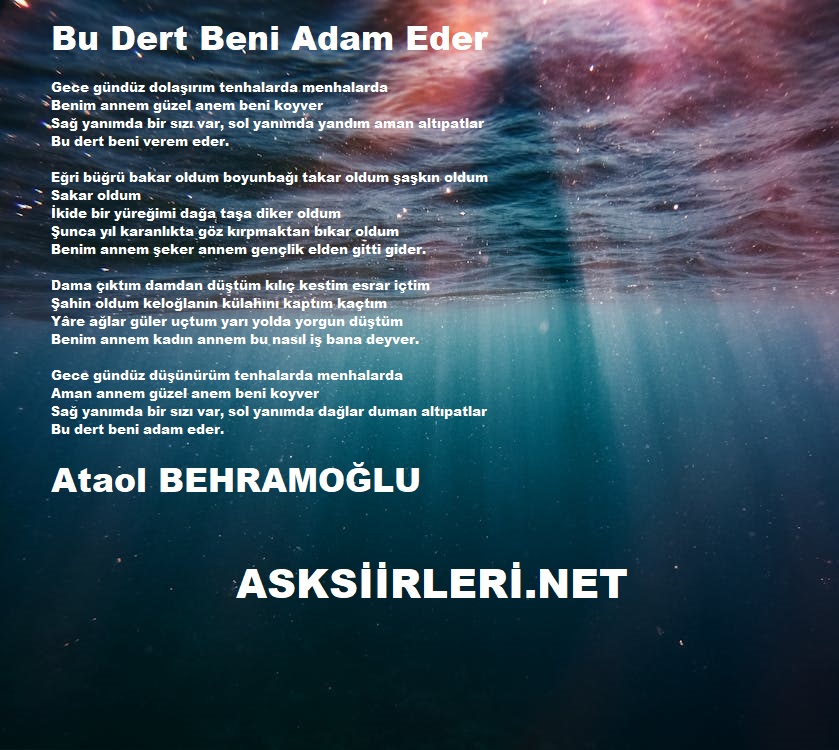 Bu Dert Beni Adam Eder | Ataol Behramoğlu | 2024