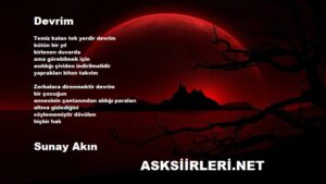 Devrim | Sunay Akın | 2024