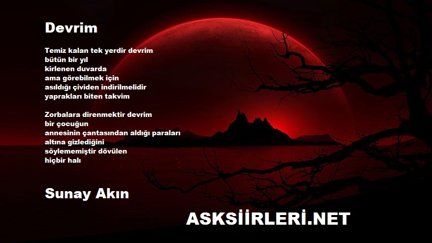 Devrim | Sunay Akın | 2024