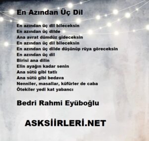 En Azından Üç Dil bileceksin | Bedri Rahmi Eyüboğlu | 2024