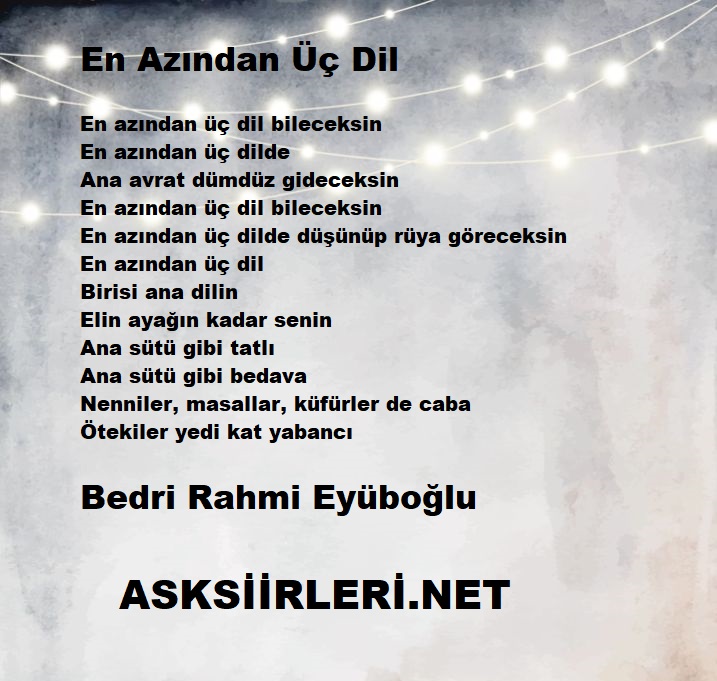 En Azından Üç Dil bileceksin | Bedri Rahmi Eyüboğlu | 2024