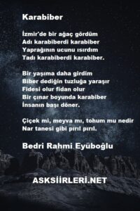 Karabiber | Bedri Rahmi Eyüboğlu | 2024