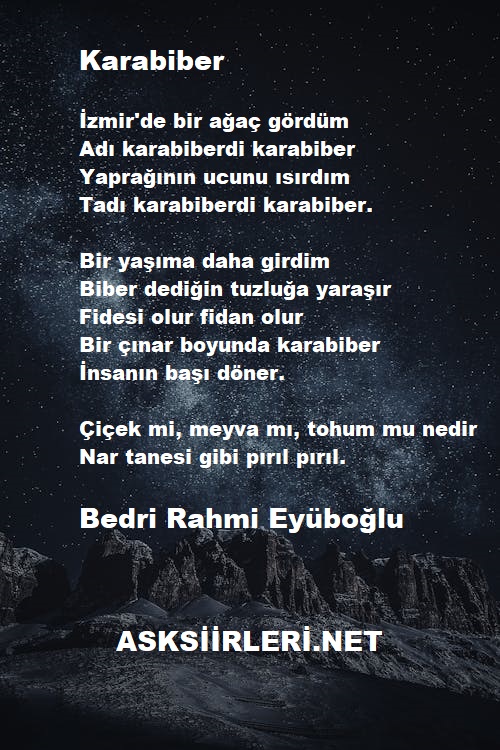 Karabiber | Bedri Rahmi Eyüboğlu | 2024