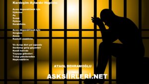Kardeşim Aylardır Hapiste | Ataol Behramoğlu | 2024