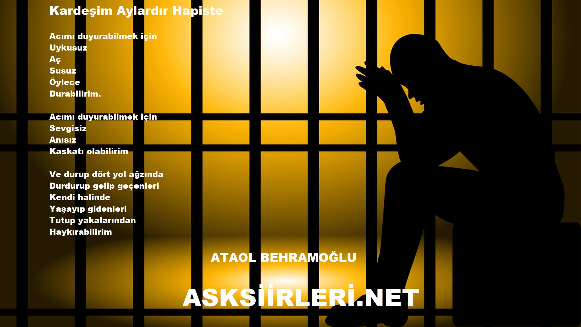 Kardeşim Aylardır Hapiste | Ataol Behramoğlu | 2024