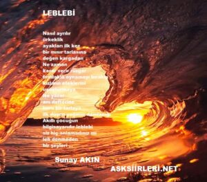 Leblebi | Sunay Akın | 2024