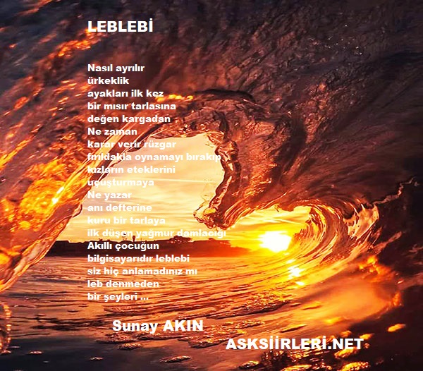 Leblebi | Sunay Akın | 2024