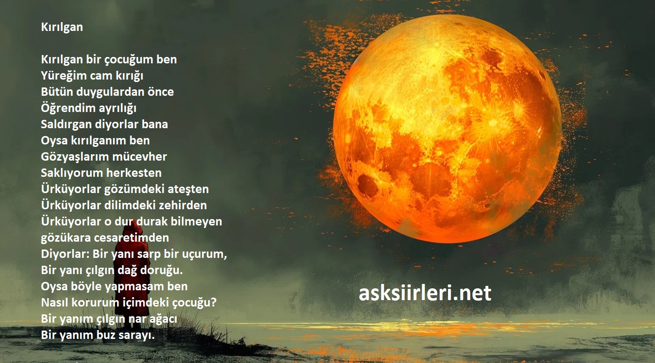 Murathan Mungan | Kırılgan| 2024
