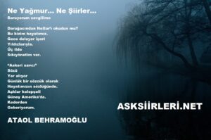 Ne Yağmur Ne Şiirler | Ataol Behramoğlu | 2024