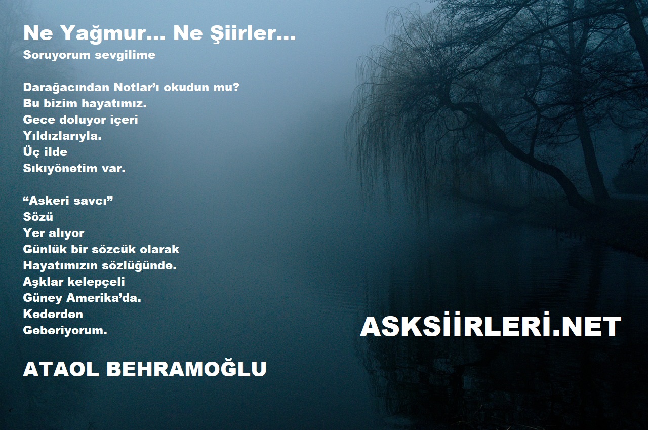 Ne Yağmur Ne Şiirler | Ataol Behramoğlu | 2024