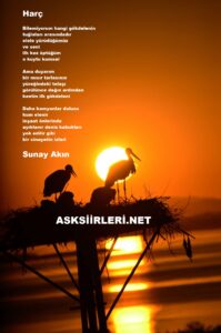Sunay Akın | Harç | 2024