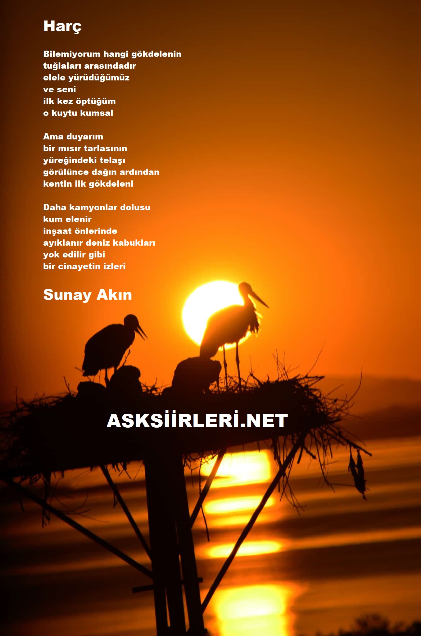 Sunay Akın | Harç | 2024