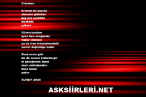 Sunay Akın ve “Giderken” 2024