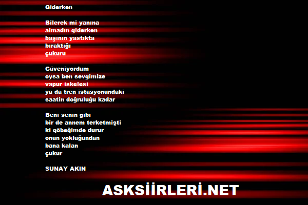 Sunay Akın ve “Giderken” 2024