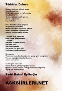 Türküler Dolusu | Bedri Rahmi Eyüboğlu | 2024
