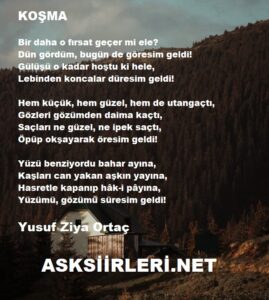 Yusuf Ziya Ortaç Koşma Şiiri 2024