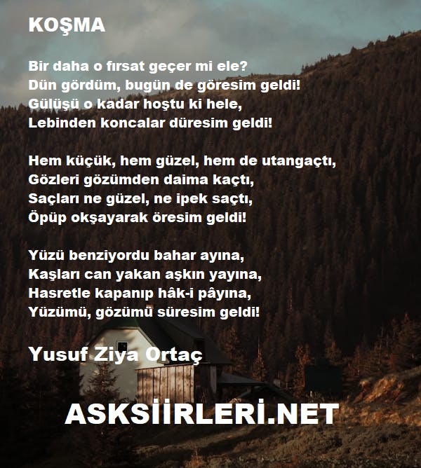Yusuf Ziya Ortaç Koşma Şiiri 2024