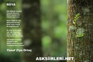 Yusuf Ziya Ortaç Rüya 2024