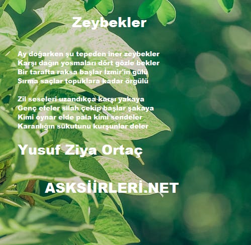 Zeybekler Yusuf Ziya Ortaç 2024