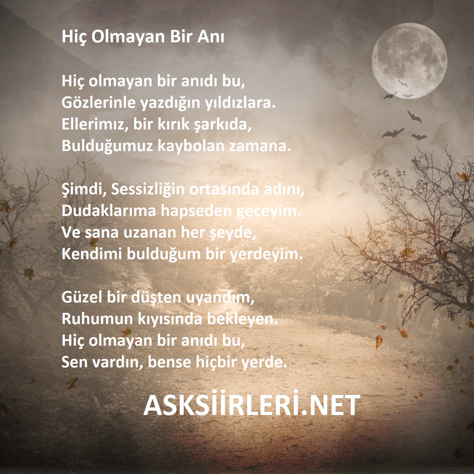 Hiç Olmayan Bir Anı Özlem Kokan Şiirler