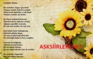 Sonbahar Rüyası Kısa Aşk Şiirleri
