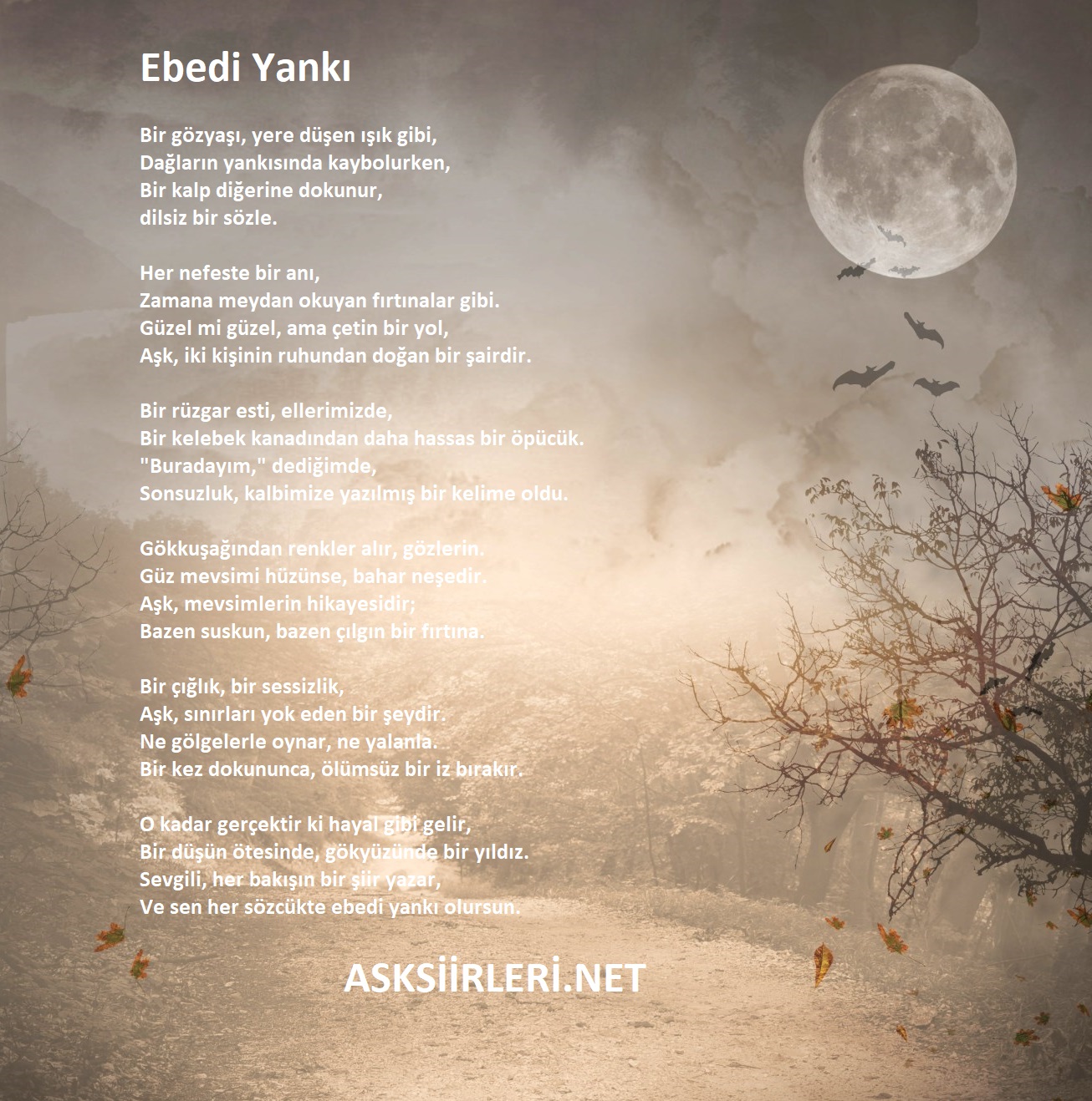 Ebedi Yankı Şiiri Romantik şiirler 2025